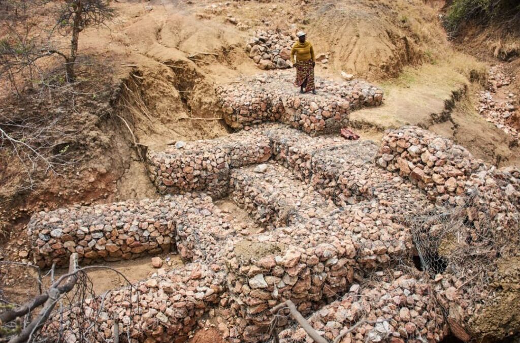 Building for the Future: Lessons from Zambia’s Community Water Conservation Projects